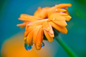 ホスピピュアVIOの販売店は？最安値で買えるのはここ！特徴や口コミも紹介！