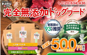 ドッグフード 工房の販売店や実店舗は？最安値で手に入れるならここ！特徴や口コミも